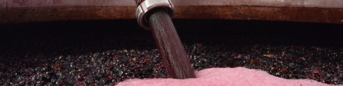 Rotwein