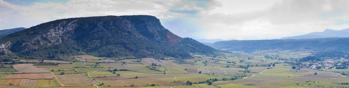 Languedoc zählt als eine der landschaftlich...