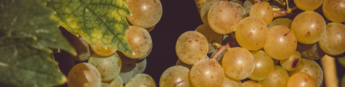Dessertwein