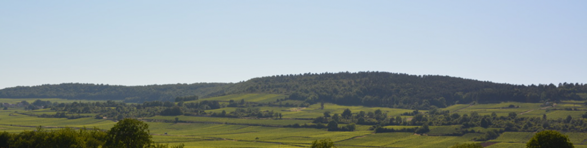 Alsace (das Elsass) liegt im Osten Frankreichs....
