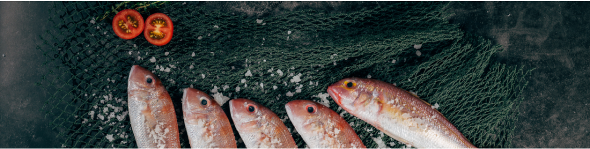 Zum Fisch