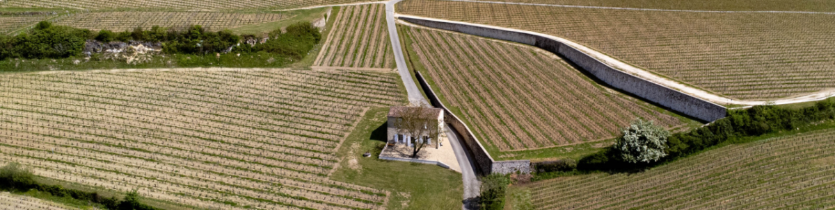 Die Weinregion Bordeaux besteht aus insgesamt...