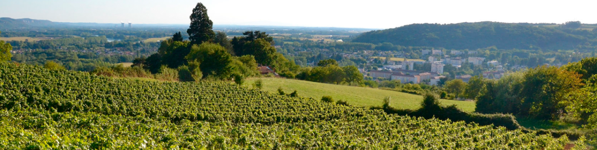 Yves Duport