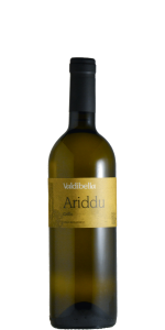 Grillo "Ariddu" 2024