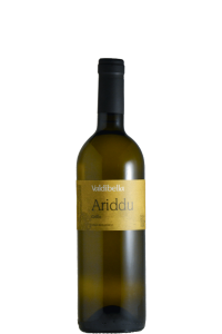 Grillo "Ariddu" 2024