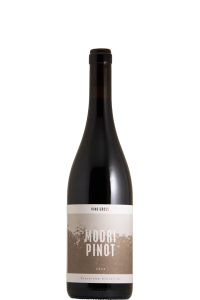 Modri Pinot 2022