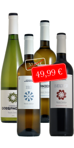 Weinpaket Gorrondona