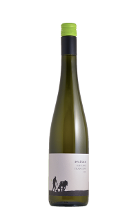 Riesling "Tradition" 2023