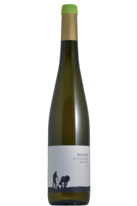 Michelsberg Riesling 2023