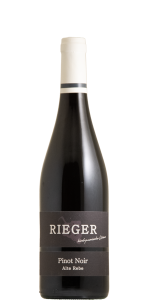 Pinot Noir Alte Rebe 2023