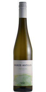 Vinho Verde branco "Escolha" 2023