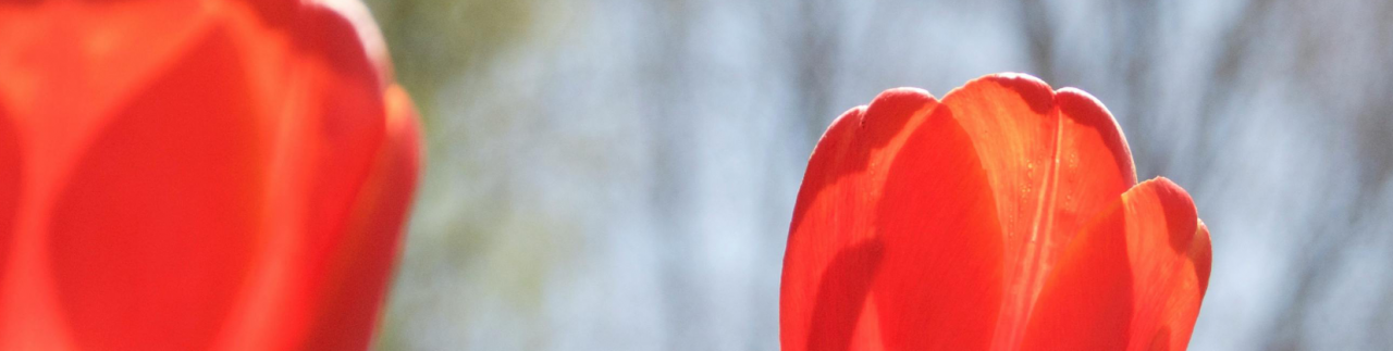 Frisch in den Frühling!