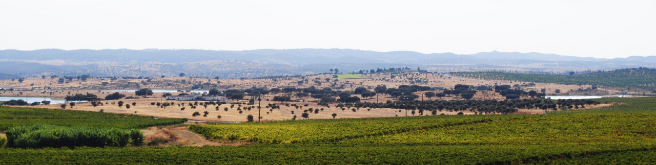 Alentejo