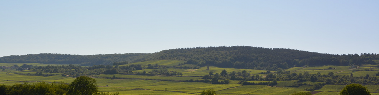 Alsace