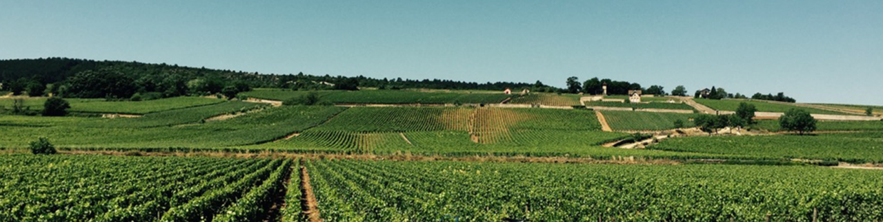 Burgund
