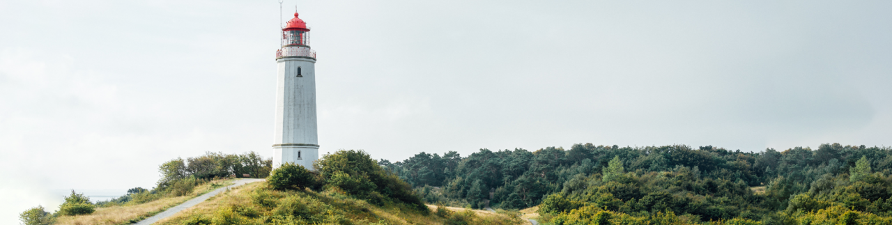 Hiddenseer Kutterfisch