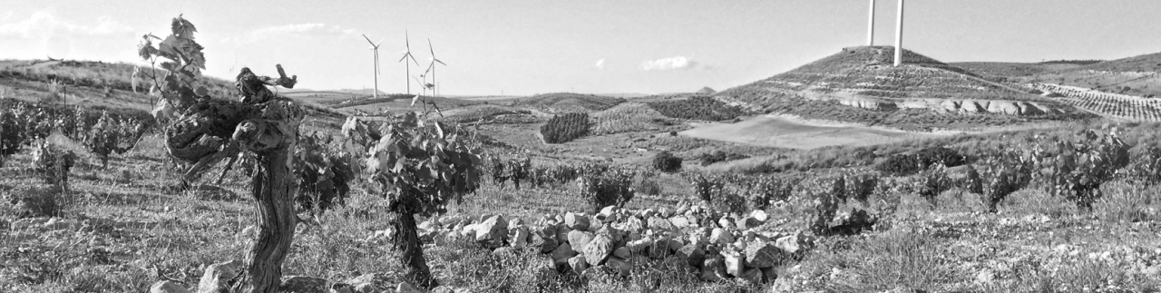 Jumilla