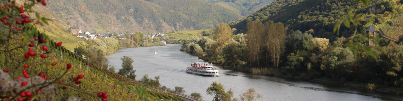 Mosel