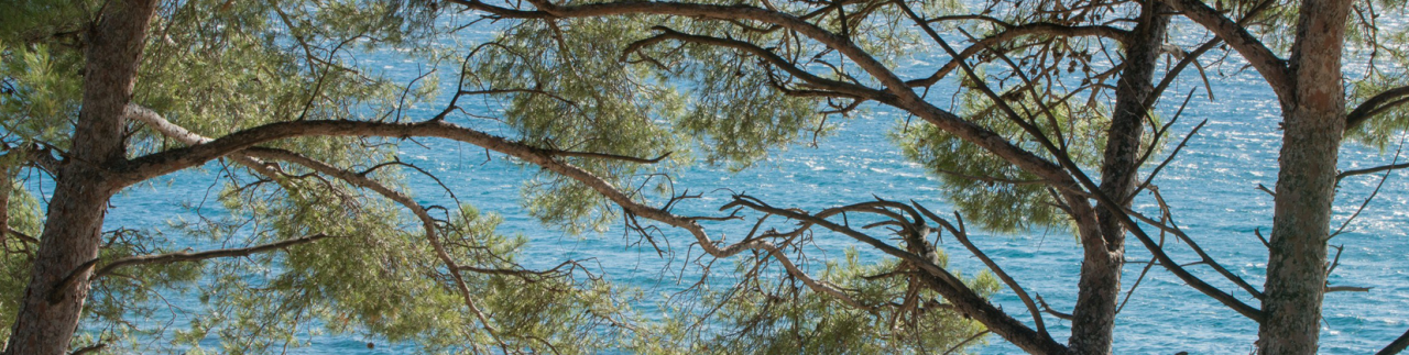 Provence