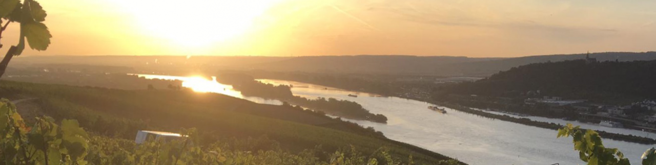 Rheingau