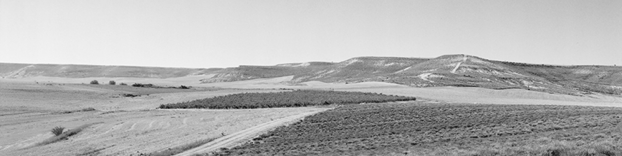 Ribera del Duero