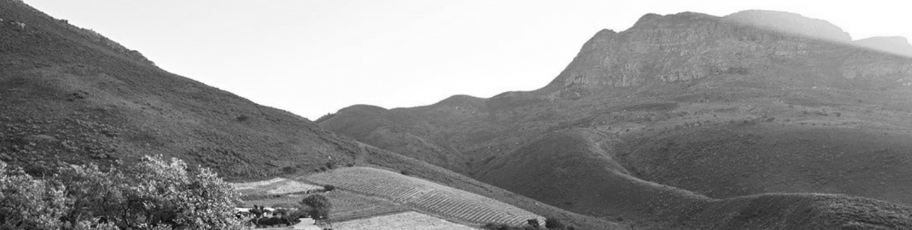 Stellenbosch