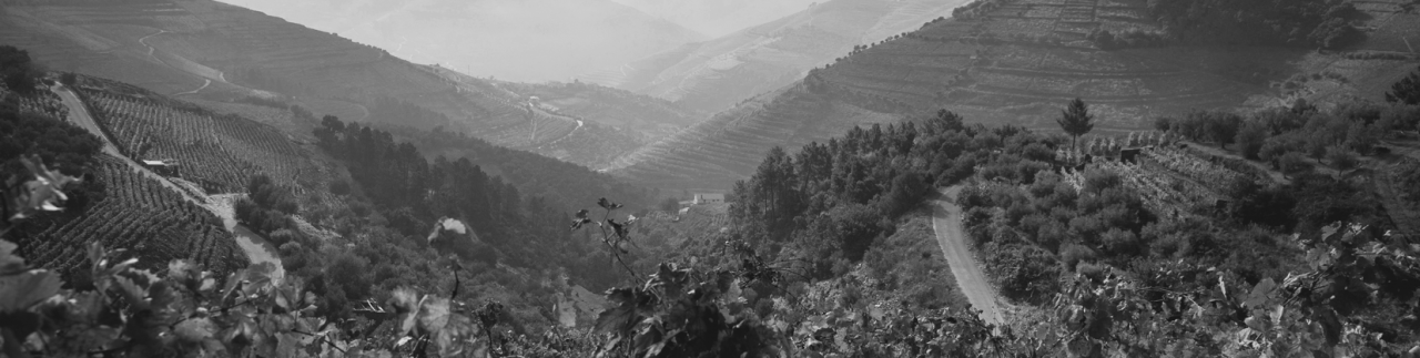 Vinho Verde