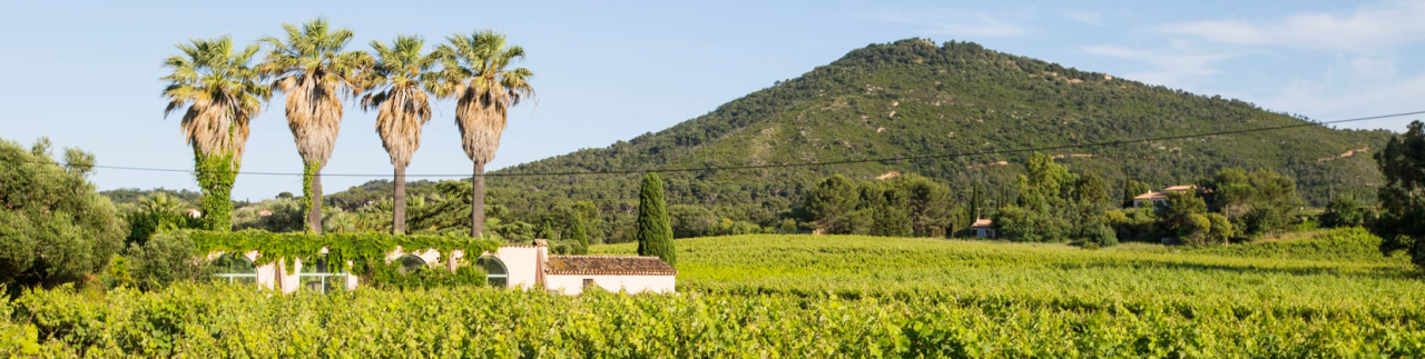 Clos Cibonne