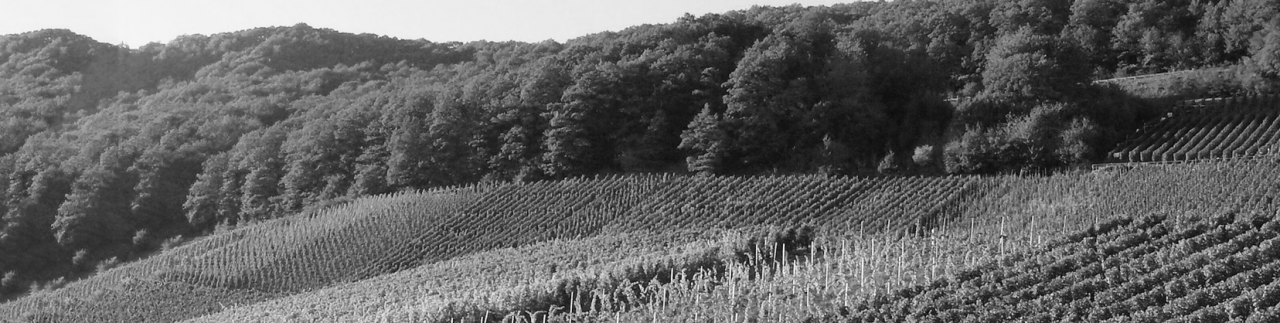 Cru Godard