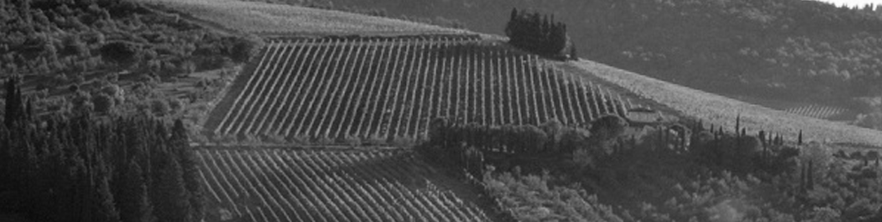 Poggio Trevvalle