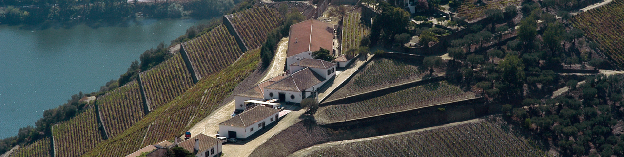 Quinta do Crasto