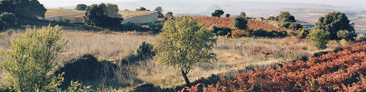 Rioja