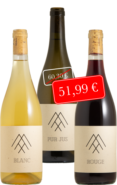 Weinpaket Max sein Wein 