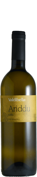 Grillo „Ariddu“ 2023 