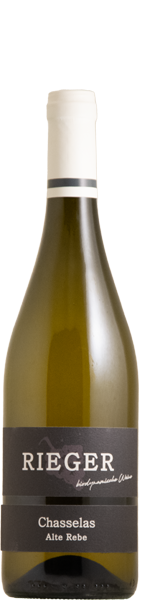 Chasselas Alte Reben 2024 